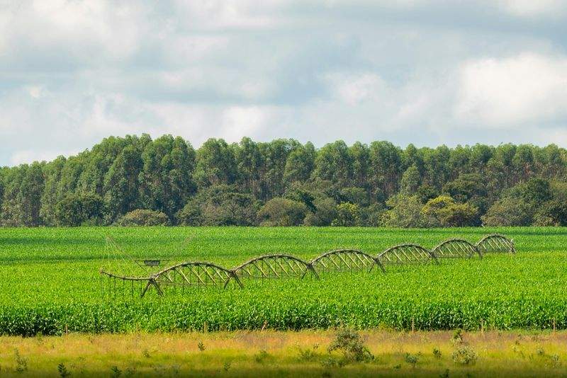 AgroSierra del Levante S.L. 1