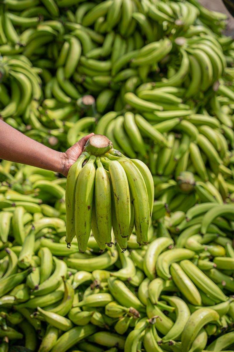 Asesoramiento técnico en producción sostenible