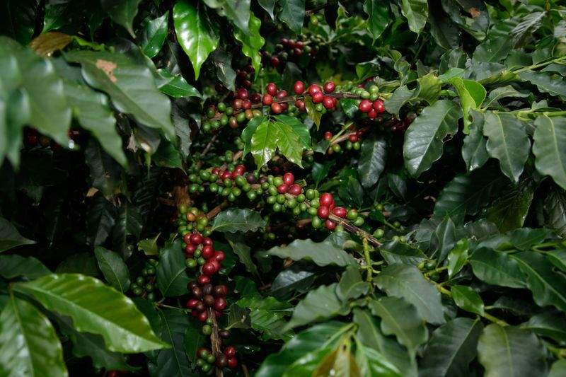 Suministro de productos frescos al por mayor